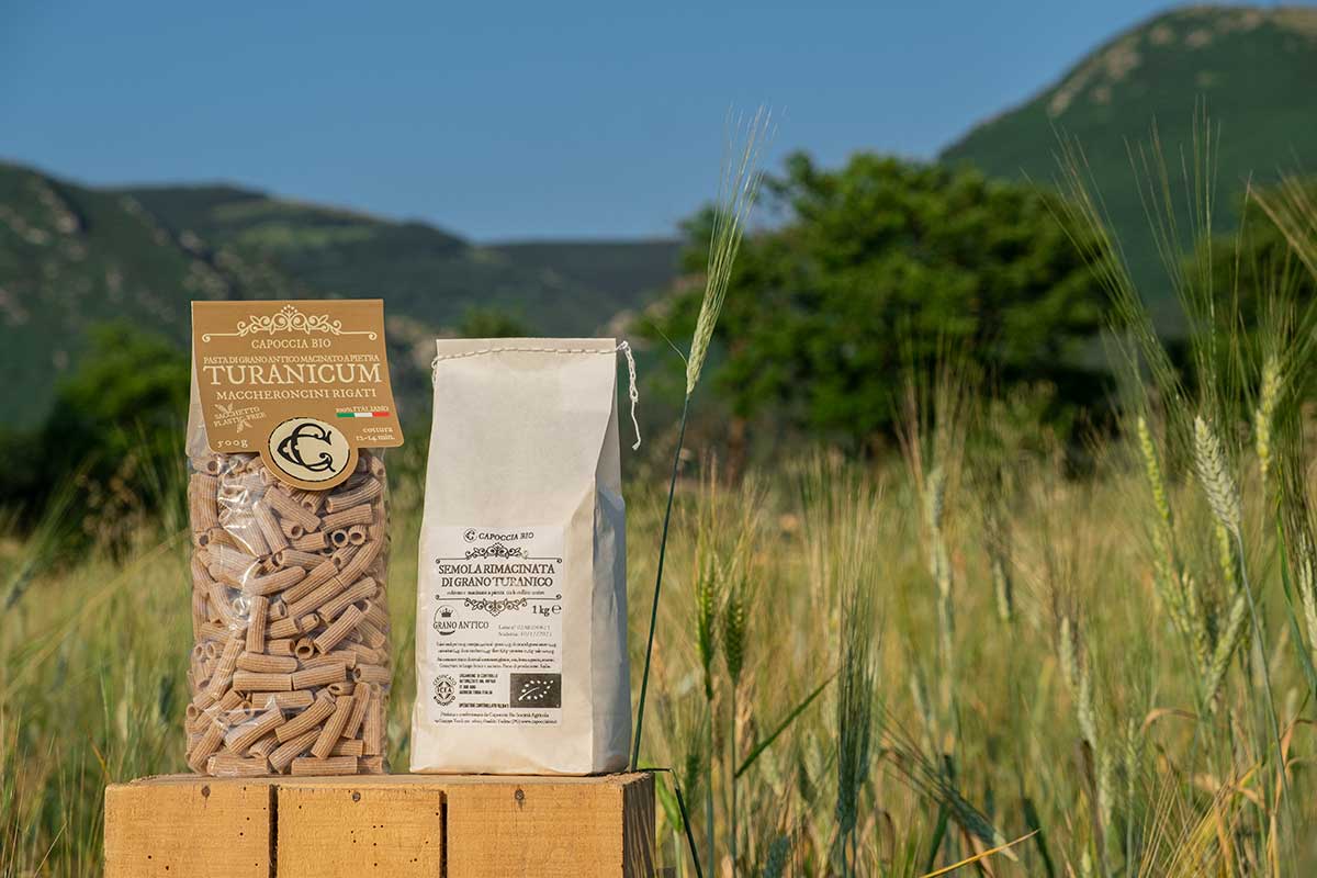 Campo di grano Turanico, pasta Turanicum, semola di turanico