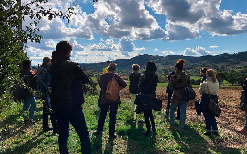 Un gruppo di turisti nel campo