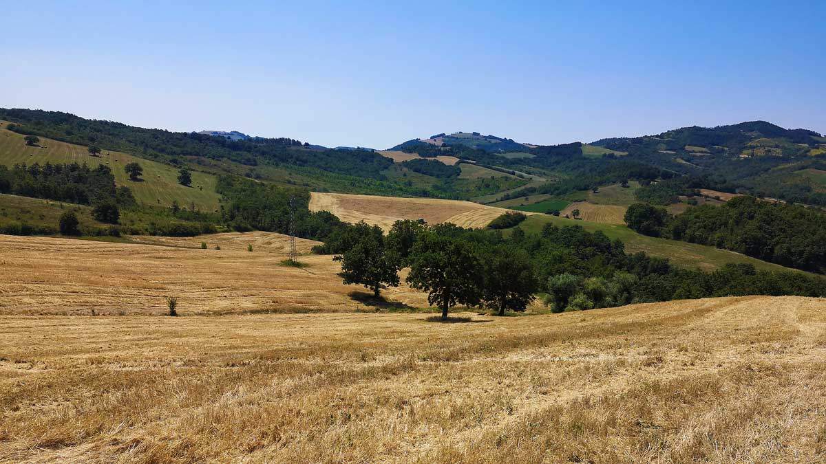 Campi di agricoltura biologica in Umbria - Capoccia Bio