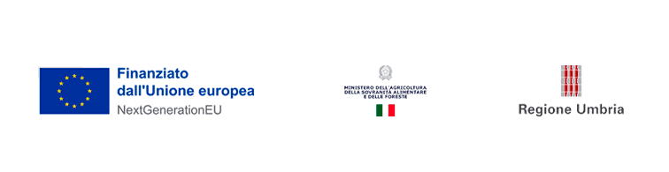 Banner Piano Nazionale di Ripresa e Resilienza (PNRR)