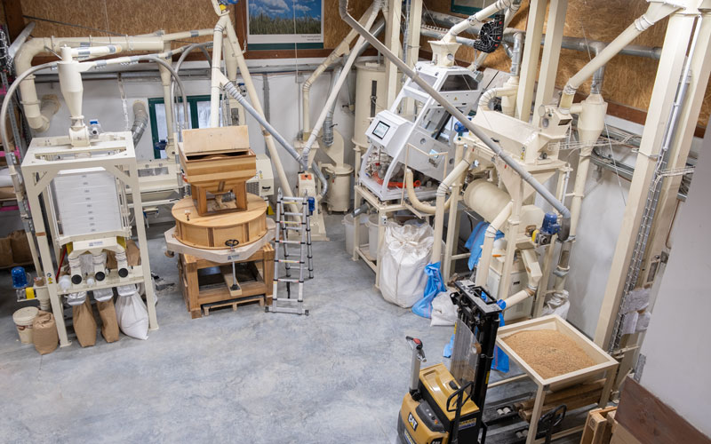 Particolare delle macchine per la selezione e del molino a pietra, una delle aree produttive a completo controllo di filiera